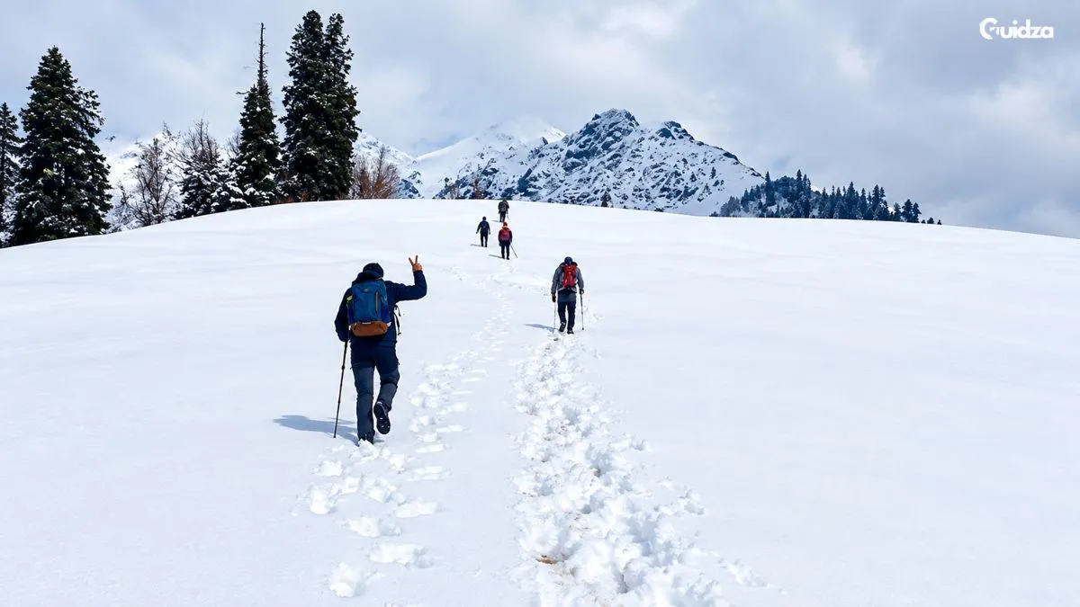 trekking in auli